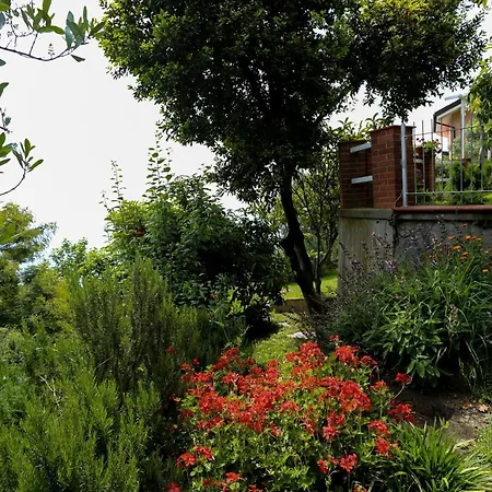 Casa vacanze Giò - Terrazza Nel Blu *