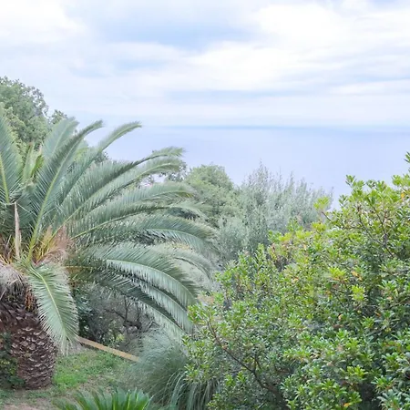 度假居 Gio - Terrazza Nel Blu 贝尔杰吉